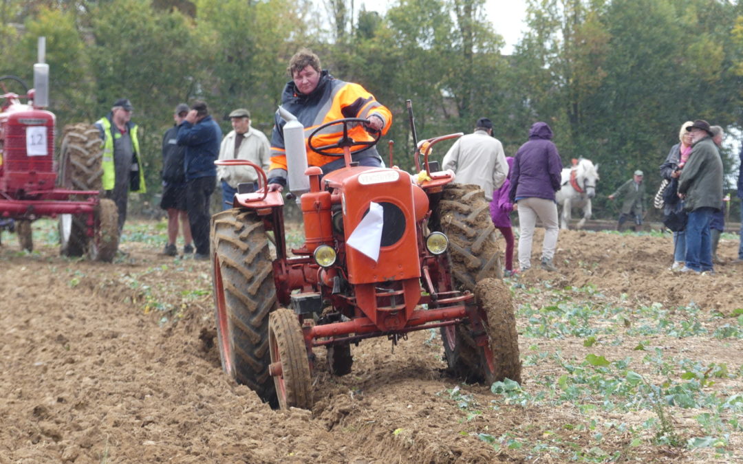 Le festival des labours